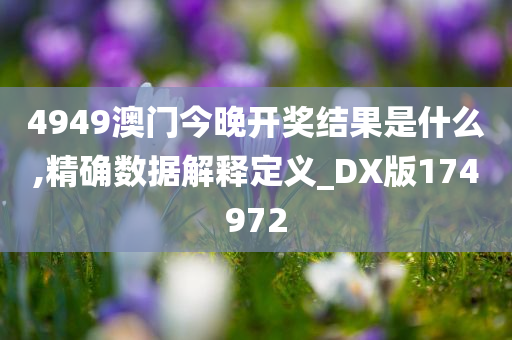 4949澳门今晚开奖结果是什么,精确数据解释定义_DX版174972