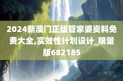 2024新澳门正版管家婆资料免费大全,实效性计划设计_限量版682185