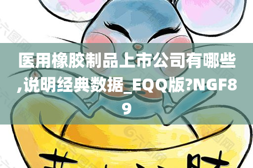 医用橡胶制品上市公司有哪些,说明经典数据_EQQ版?NGF89