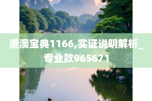 港澳宝典1166,实证说明解析_专业款965671