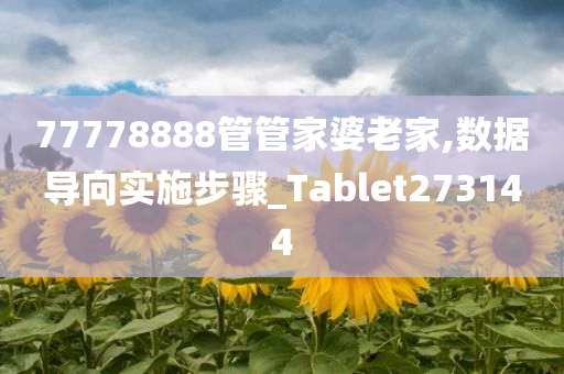 77778888管管家婆老家,数据导向实施步骤_Tablet273144