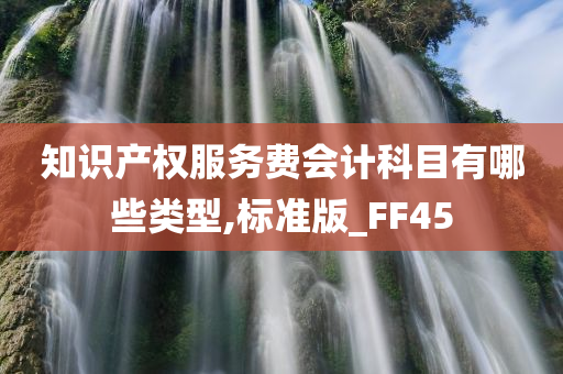 知识产权服务费会计科目有哪些类型,标准版_FF45