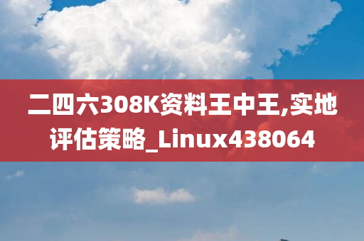 二四六308K资料王中王,实地评估策略_Linux438064