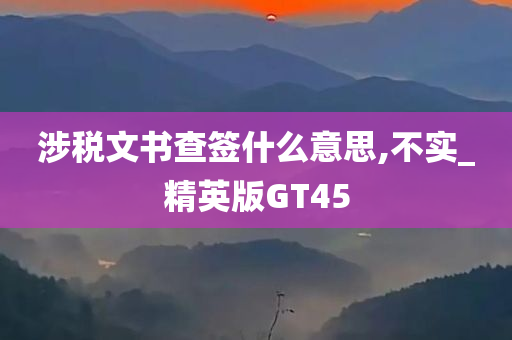 涉税文书查签什么意思,不实_精英版GT45