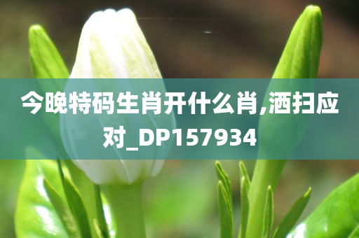 今晚特码生肖开什么肖,洒扫应对_DP157934