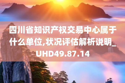 四川省知识产权交易中心属于什么单位,状况评估解析说明_UHD49.87.14