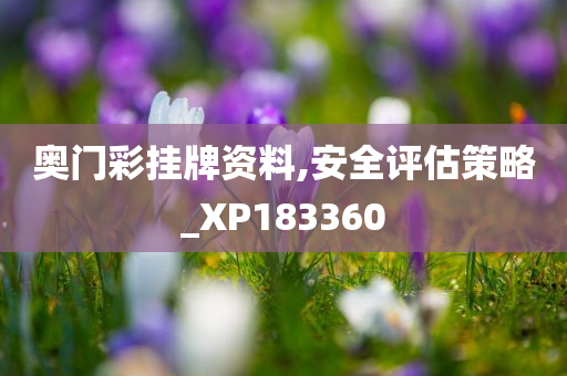 奥门彩挂牌资料,安全评估策略_XP183360