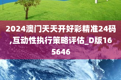 2024澳门天天开好彩精准24码,互动性执行策略评估_D版165646