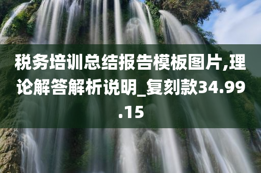 税务培训总结报告模板图片,理论解答解析说明_复刻款34.99.15