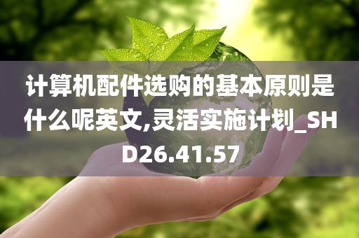 计算机配件选购的基本原则是什么呢英文,灵活实施计划_SHD26.41.57