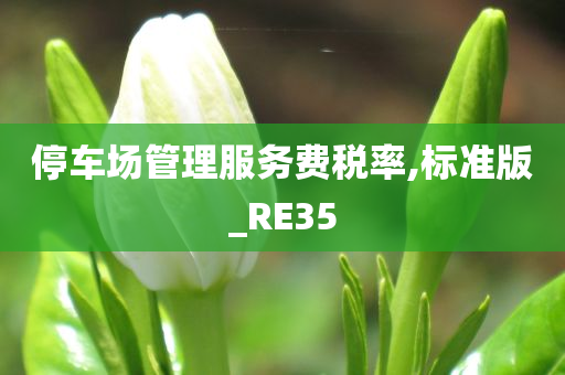 停车场管理服务费税率,标准版_RE35