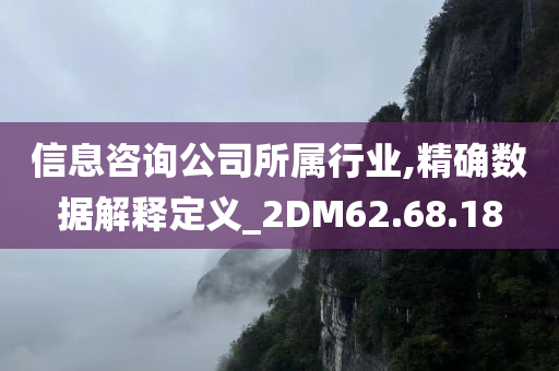 信息咨询公司所属行业,精确数据解释定义_2DM62.68.18