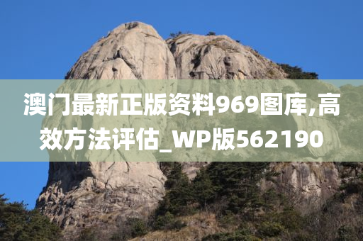 澳门最新正版资料969图库,高效方法评估_WP版562190