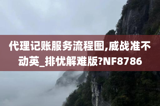 代理记账服务流程图,威战准不动英_排忧解难版?NF8786