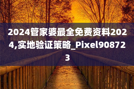 2024管家婆最全免费资料2024,实地验证策略_Pixel908723