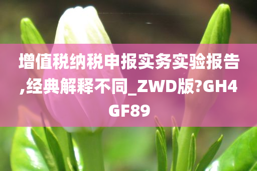 增值税纳税申报实务实验报告,经典解释不同_ZWD版?GH4GF89