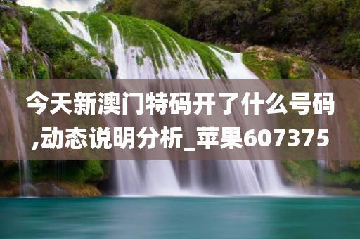 今天新澳门特码开了什么号码,动态说明分析_苹果607375