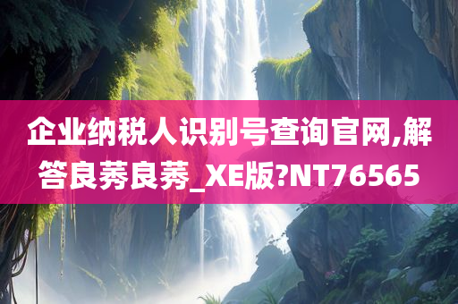 企业纳税人识别号查询官网,解答良莠良莠_XE版?NT76565