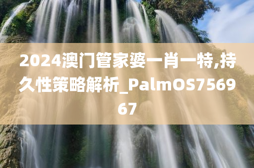 2024澳门管家婆一肖一特,持久性策略解析_PalmOS756967