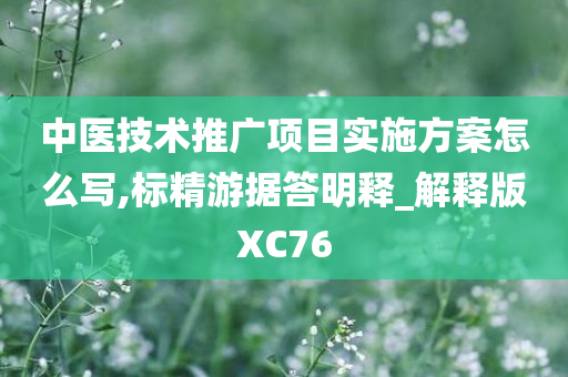 中医技术推广项目实施方案怎么写,标精游据答明释_解释版XC76