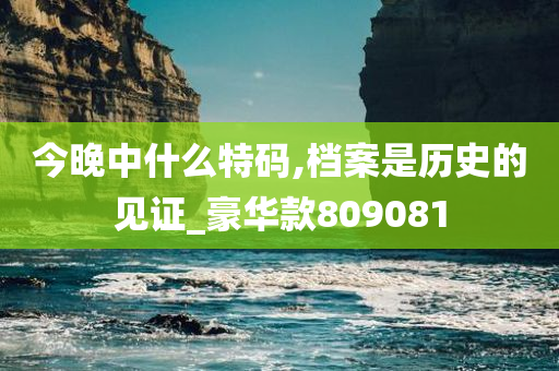 今晚中什么特码,档案是历史的见证_豪华款809081