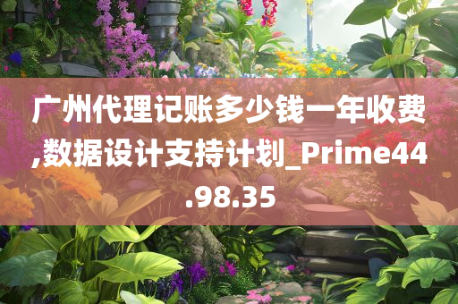 广州代理记账多少钱一年收费,数据设计支持计划_Prime44.98.35