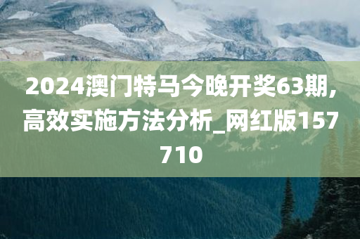 2024澳门特马今晚开奖63期,高效实施方法分析_网红版157710