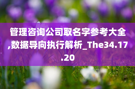 管理咨询公司取名字参考大全,数据导向执行解析_The34.17.20