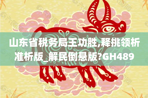 山东省税务局王功胜,释挑领析准析版_解民倒悬版?GH489