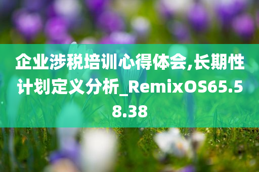 企业涉税培训心得体会,长期性计划定义分析_RemixOS65.58.38