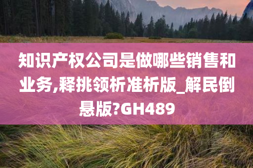 知识产权公司是做哪些销售和业务,释挑领析准析版_解民倒悬版?GH489