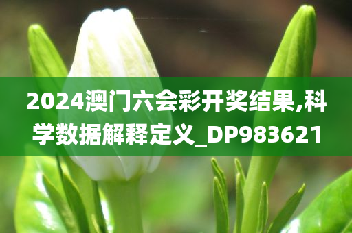 2024澳门六会彩开奖结果,科学数据解释定义_DP983621