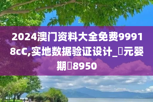 2024澳门资料大全免费99918cC,实地数据验证设计_‌元婴期‌8950