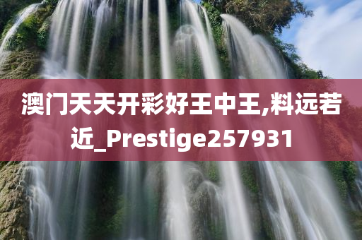 澳门天天开彩好王中王,料远若近_Prestige257931