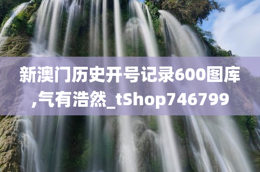 新澳门历史开号记录600图库,气有浩然_tShop746799