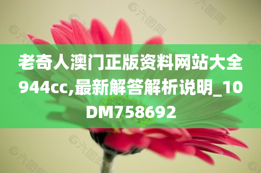 老奇人澳门正版资料网站大全944cc,最新解答解析说明_10DM758692