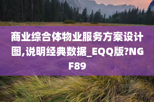 商业综合体物业服务方案设计图,说明经典数据_EQQ版?NGF89