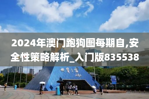 2024年澳门跑狗图每期自,安全性策略解析_入门版835538