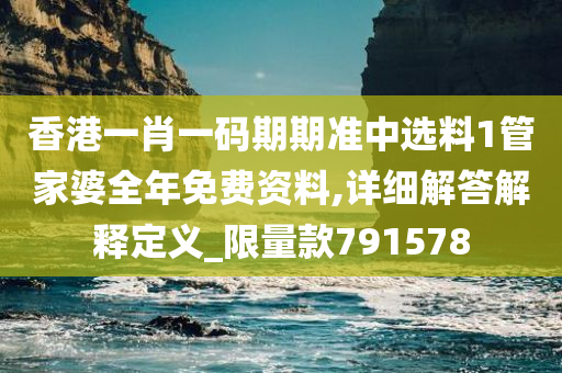 香港一肖一码期期准中选料1管家婆全年免费资料,详细解答解释定义_限量款791578