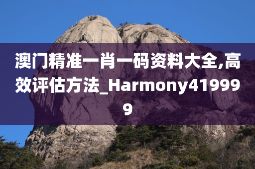 澳门精准一肖一码资料大全,高效评估方法_Harmony419999