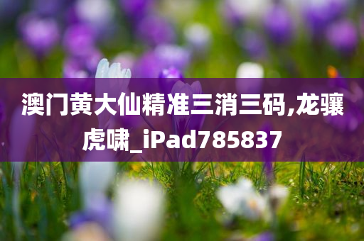 澳门黄大仙精准三消三码,龙骧虎啸_iPad785837