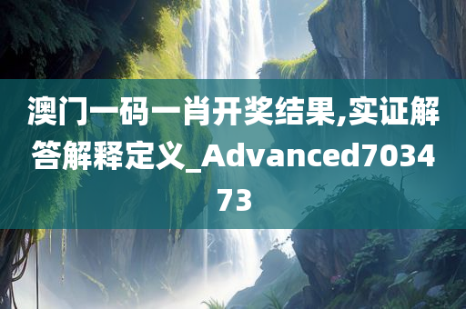 澳门一码一肖开奖结果,实证解答解释定义_Advanced703473