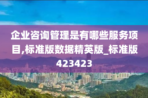 企业咨询管理是有哪些服务项目,标准版数据精英版_标准版423423