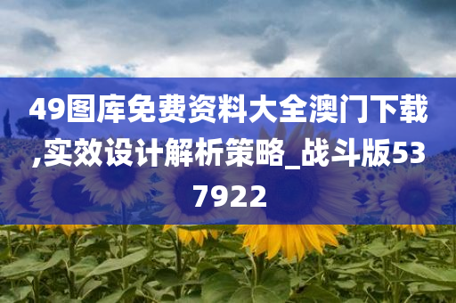 49图库免费资料大全澳门下载,实效设计解析策略_战斗版537922