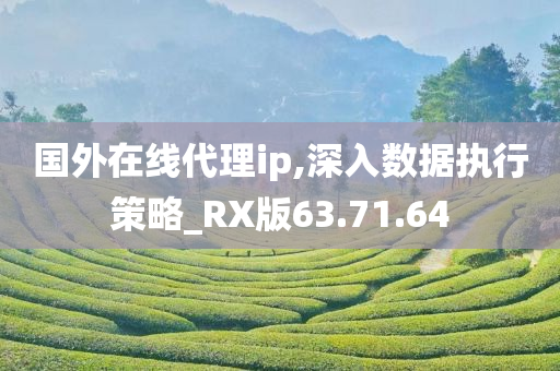 国外在线代理ip,深入数据执行策略_RX版63.71.64