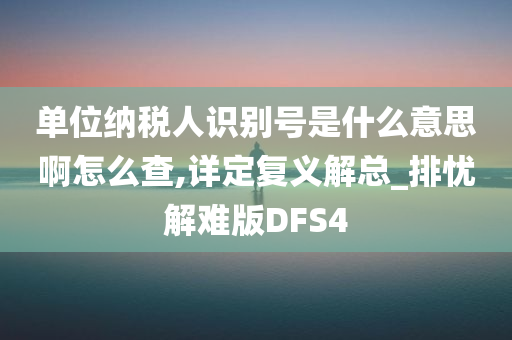 单位纳税人识别号是什么意思啊怎么查,详定复义解总_排忧解难版DFS4