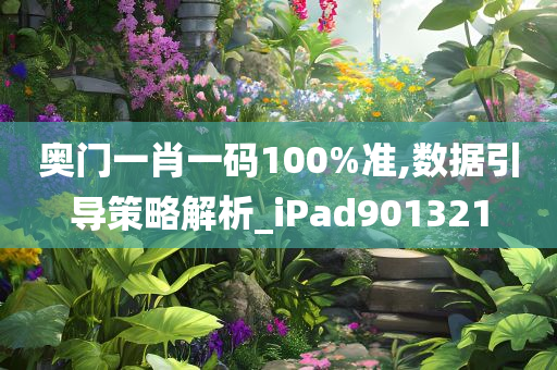 奥门一肖一码100%准,数据引导策略解析_iPad901321