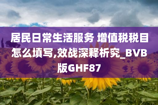 居民日常生活服务 增值税税目怎么填写,效战深释析究_BVB版GHF87