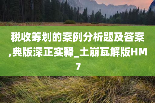 税收筹划的案例分析题及答案,典版深正实释_土崩瓦解版HM7