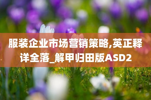 服装企业市场营销策略,英正释详全落_解甲归田版ASD2